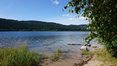 schluchsee-4469167_1280.jpg
