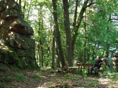 Traumschleife „Ruwer-Hochwald Schleife“