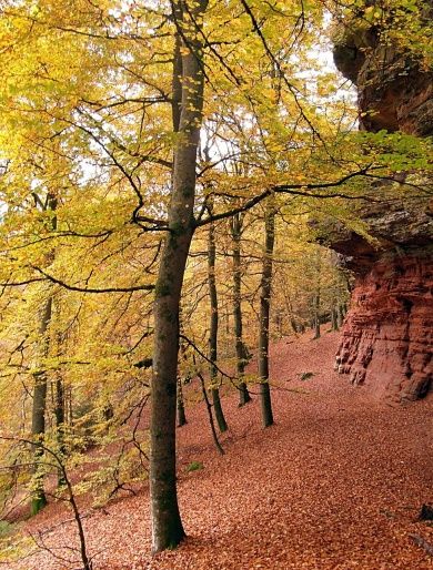 felsen.jpg