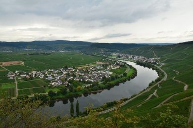 Klüsserather Sagenweg - Moselsteig Seitensprung