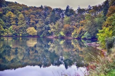 Vulkaneifel-Pfad Hochkelberg Panorama-Pfad