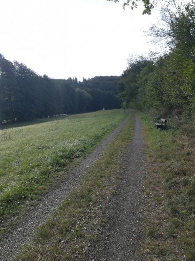 Dörsbach-Mühlenwanderweg