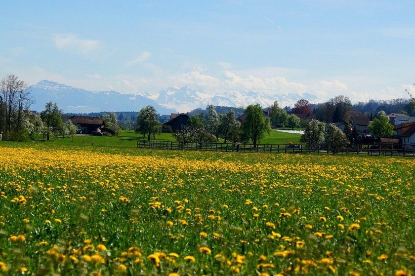 Panorama-Wanderweg