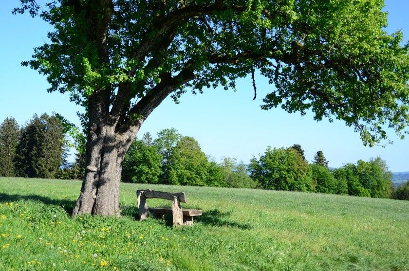 Feenspuren Drei Schluchten
