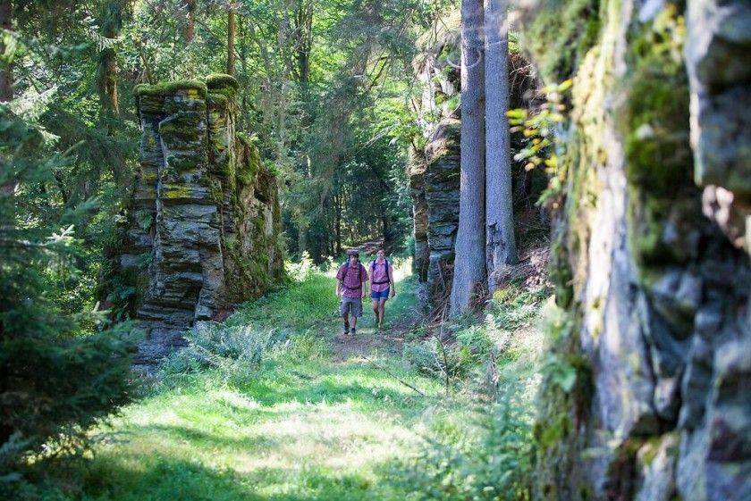 Traumschleife Rockenburger Urwaldpfad