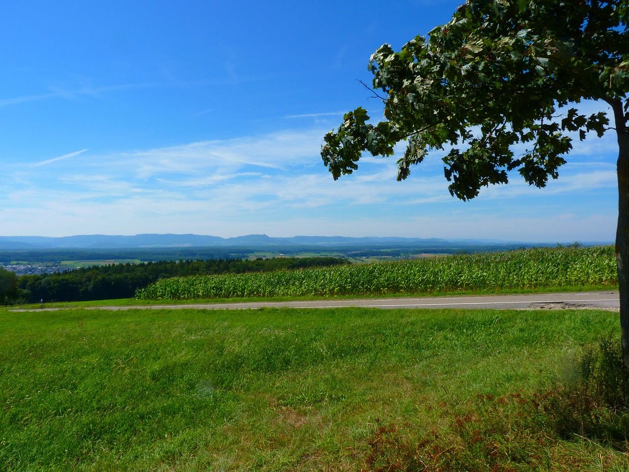 DonauWelle Klippeneck-Steig