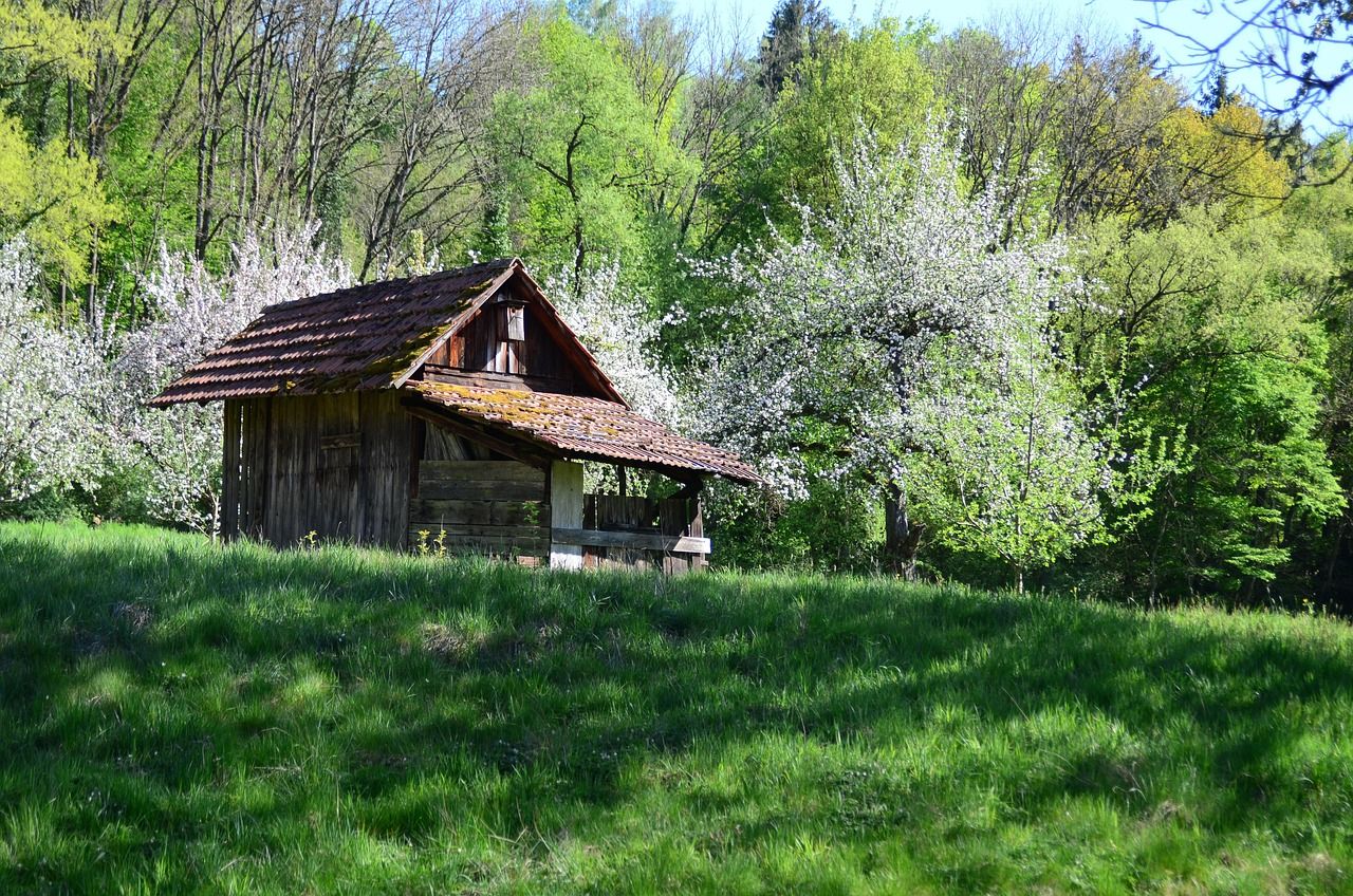 Schwäbischer Wald Weg